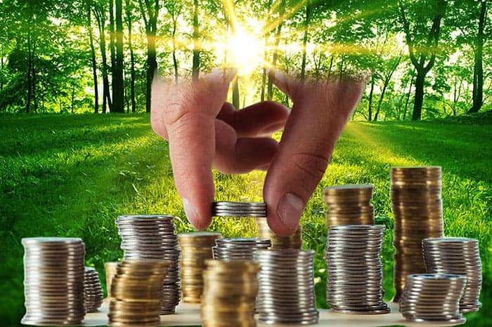 The Links Between the Economy and the Environment